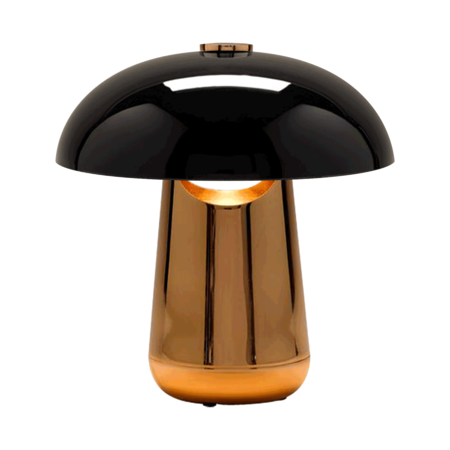 Fashionable Contardi Ongo Lamp