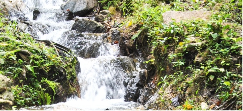 Ikogosi Warm Springs