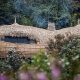Bisate Lodge Rwanda