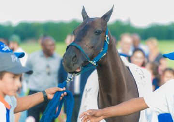 Access Bank UNICEF Polo Game In London