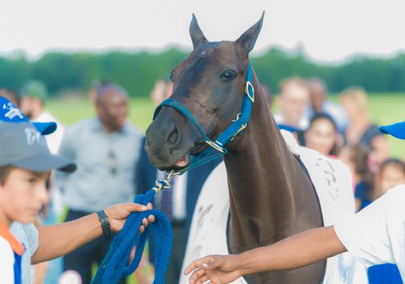 Access Bank UNICEF Polo Game In London