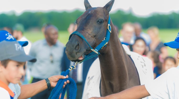 Access Bank UNICEF Polo Game In London