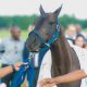 Access Bank UNICEF Polo Game In London