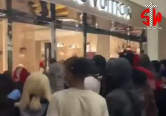 Louis Vuitton looting