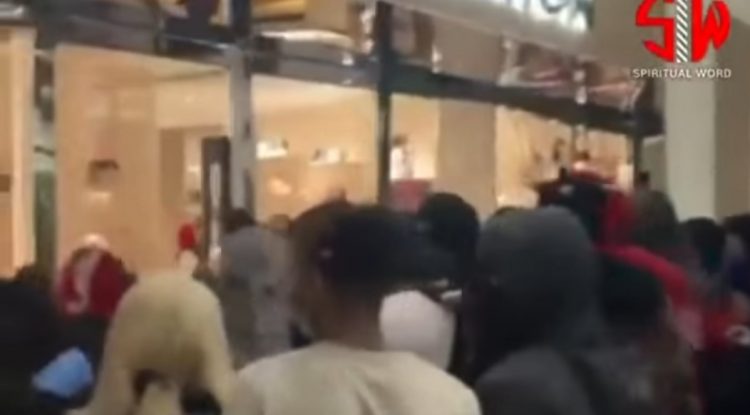 Louis Vuitton looting